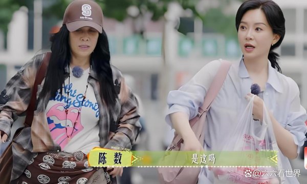 100元番茄炒蛋扯破综艺滤镜！明星与素东谈主的物价范围
